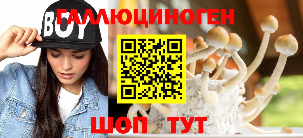 Галлюциногенные грибы GOLDEN TEACHER Волжск